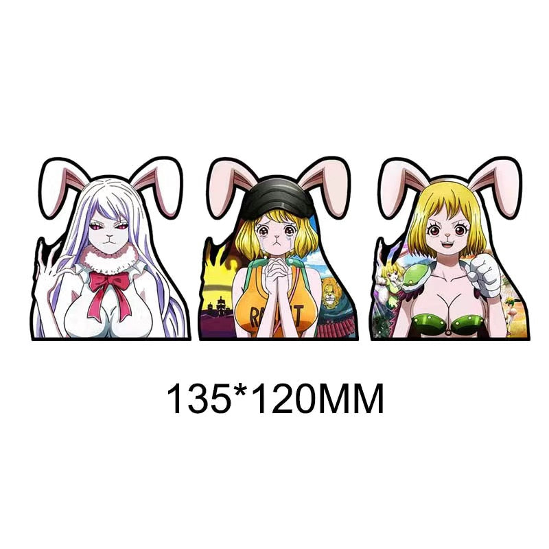 Nami,Robin&Hancock,3D Motion sticker, 3 varieties Of morphologic